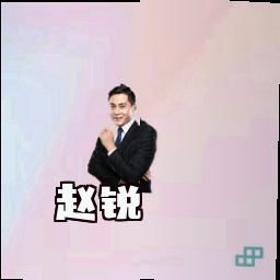 赵锐