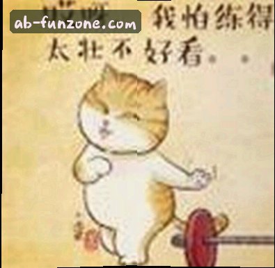 刘洋